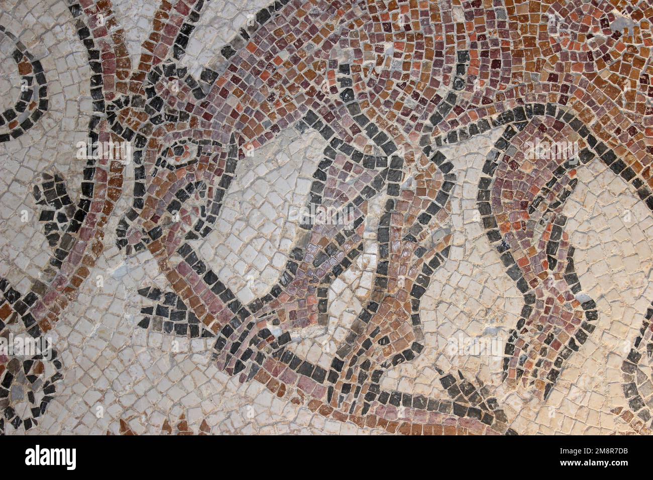 Dog eating snake mosaic hires stock photography and images Alamy