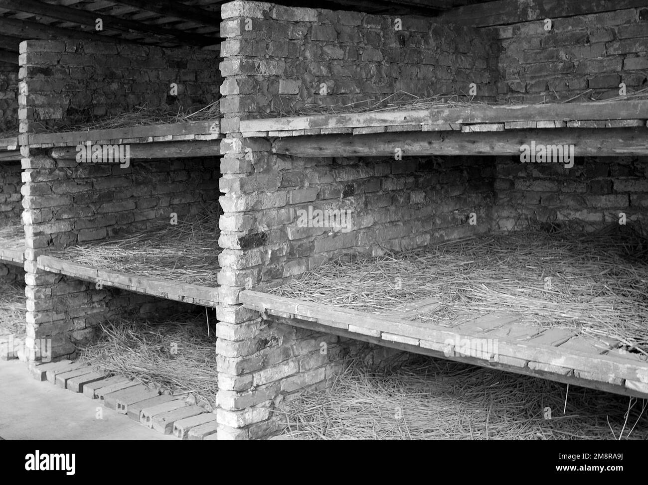 Inmate berths at Birkenhau nazi concentration camp in Poland Stock Photo