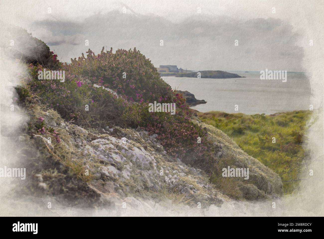 Digital watercolor painting of white rocks covered in lichen and beautiful purple Bell Heather. Stock Photo