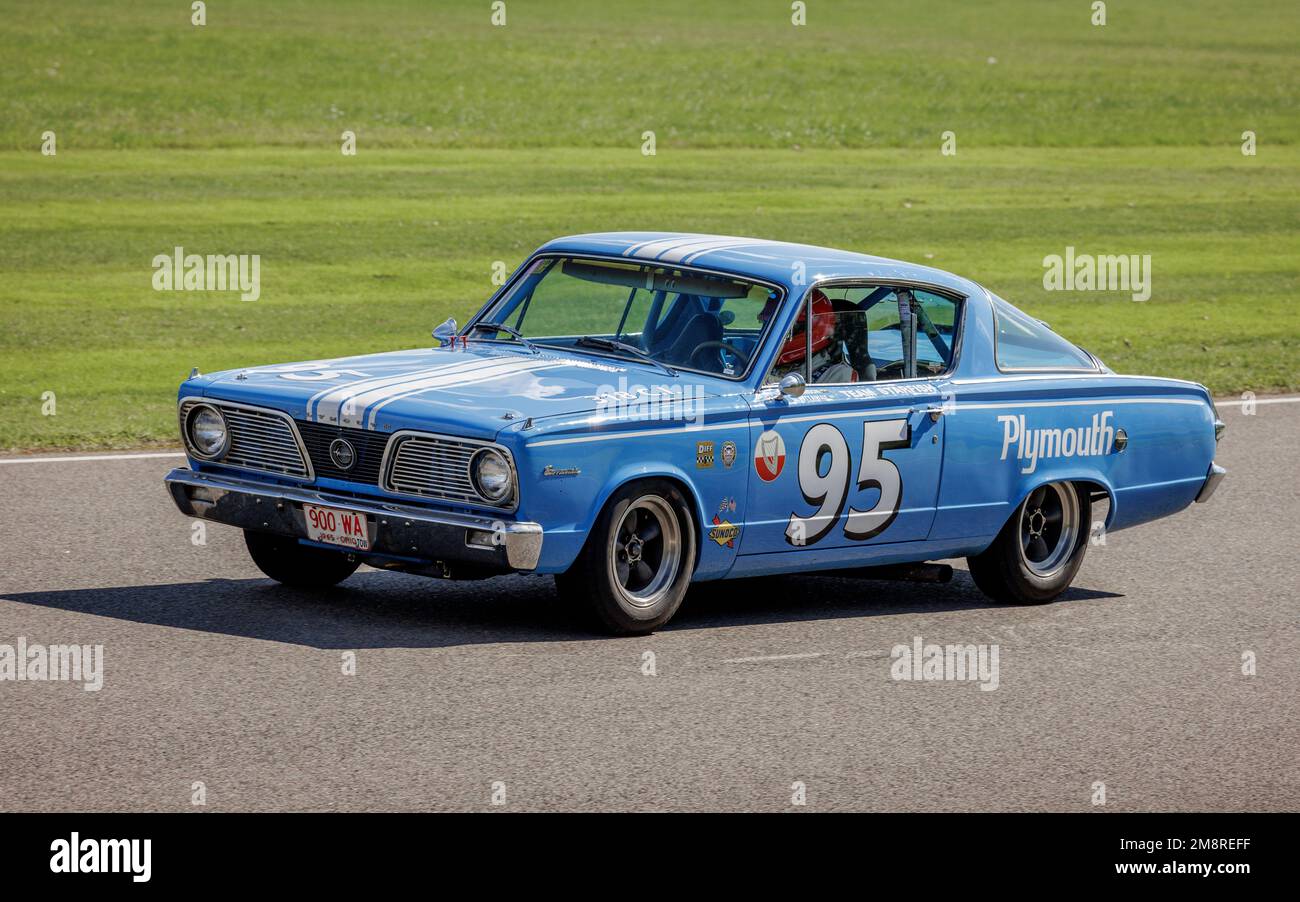 Rowan Atkinson in the 1965 Plymouth Barracuda during the St Mary's Trophy race at the 2022 Goodwood Revival, Sussex, UK. Stock Photo