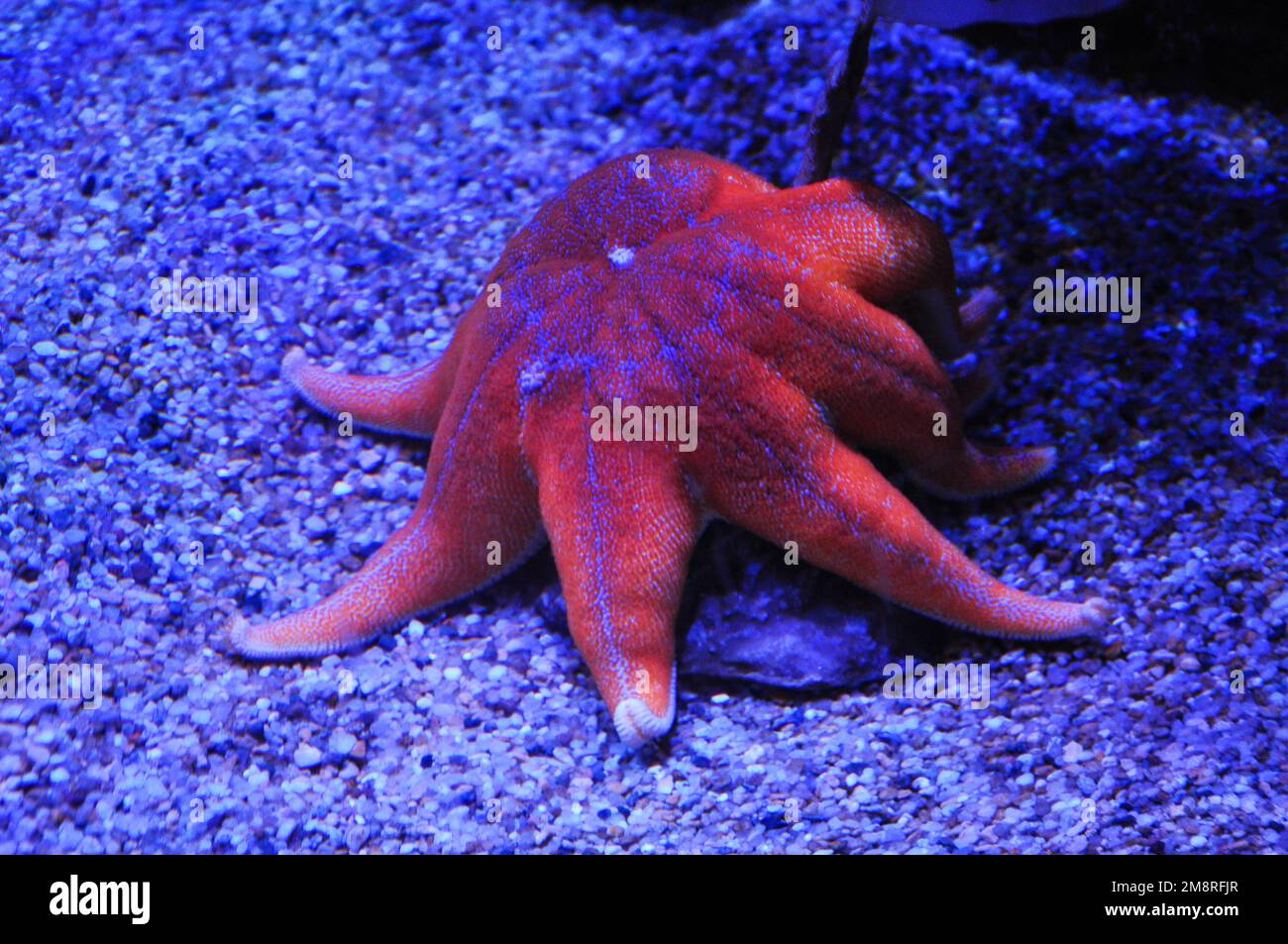 Scenes of Osaka Stock Photo - Alamy