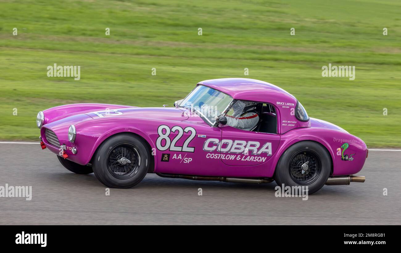 Mike Whitaker and Andrew Jordan's 1963 AC Cobra 'Dragonsnake', Stirling Moss Memorial Trophy entrant, at the 2022 Goodwood Revival, Sussex, UK. Stock Photo