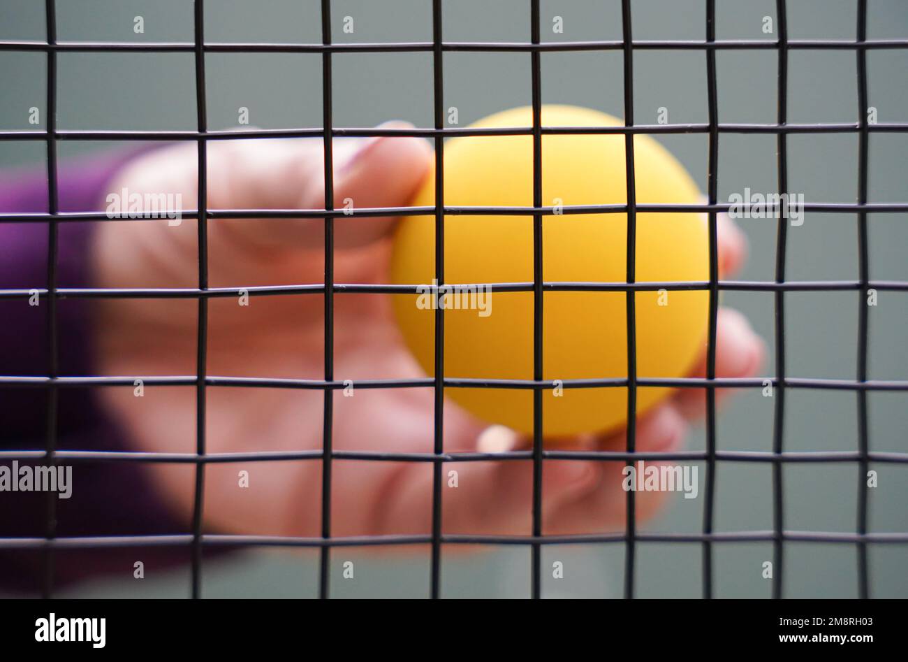 Net Racket Ball Tennis racket and ball and net hi-res stock photography and images - Alamy