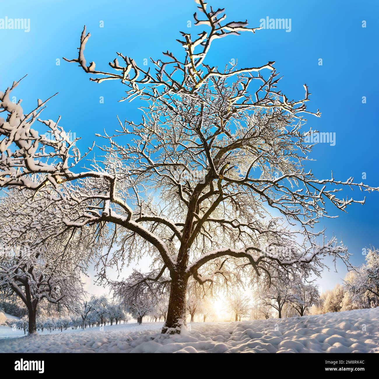 Snow Sun Colors Sky: Over 134,808 Royalty-Free Licensable Stock Photos