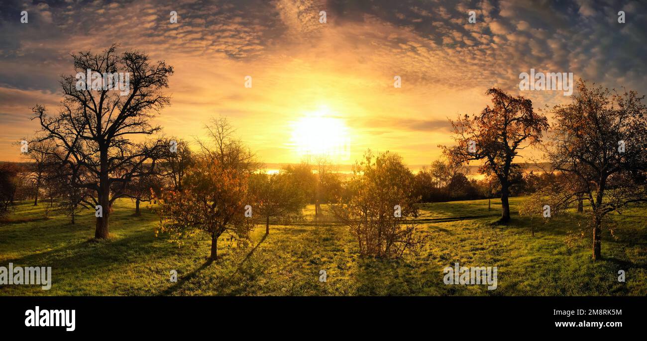 Golden sunrise with dramatic sky and color mood over rural landscape with trees on a meadow Stock Photo