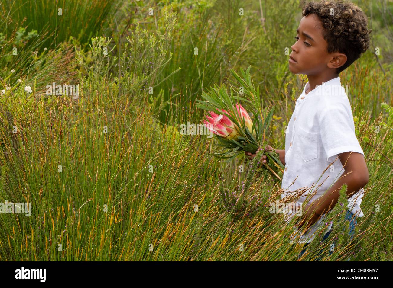 Young boy seen standing between fynbos bush Stock Photo