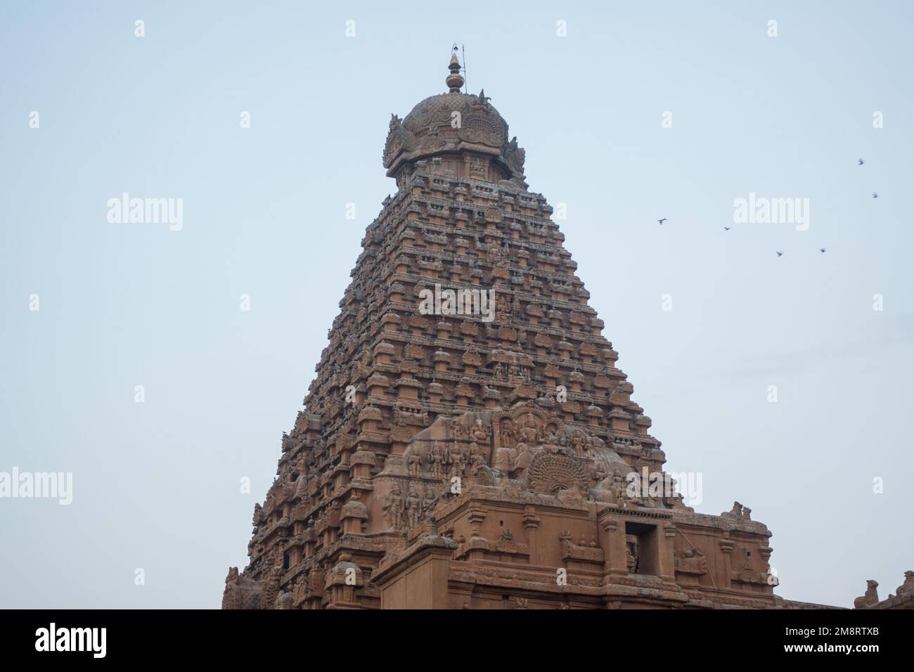 Gopuram view of Bridhadishwara temple, UNESCO World Heritage Site, Thanjavur (Tanjore), Tamil Nadu, India, Asia Stock Photo