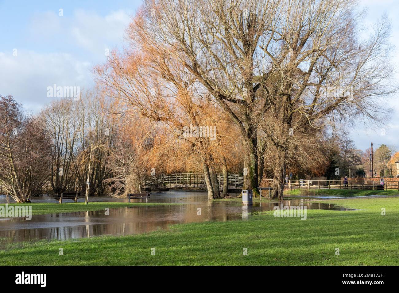 Swollen river in Salisbury, Wiltshire, England, UK after heavy rainfall.  January 2023 Stock Photo