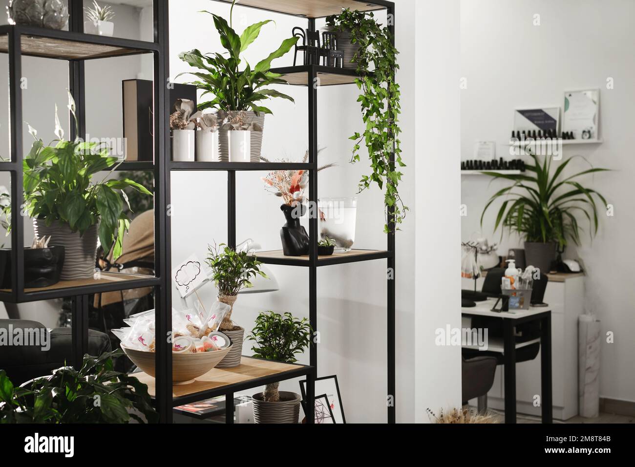 Interior luxury beauty salon hi-res stock photography and images - Alamy