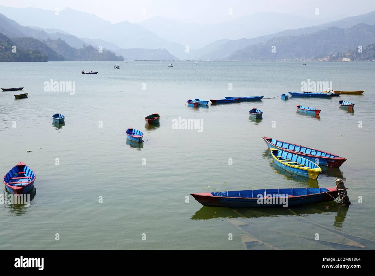 colorful boats, Phewa Lake, Phewa Tal or Fewa Lake, Pokhara, Gandaki ...