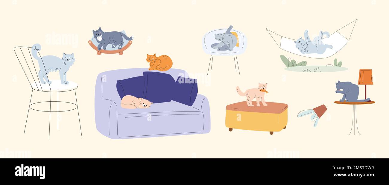 Fluffy cats, various poses cat. Different kittens sleep on sofa, resting in a hammock and chair. Pet cleaning, sitting on table or animals bed, vector Stock Vector