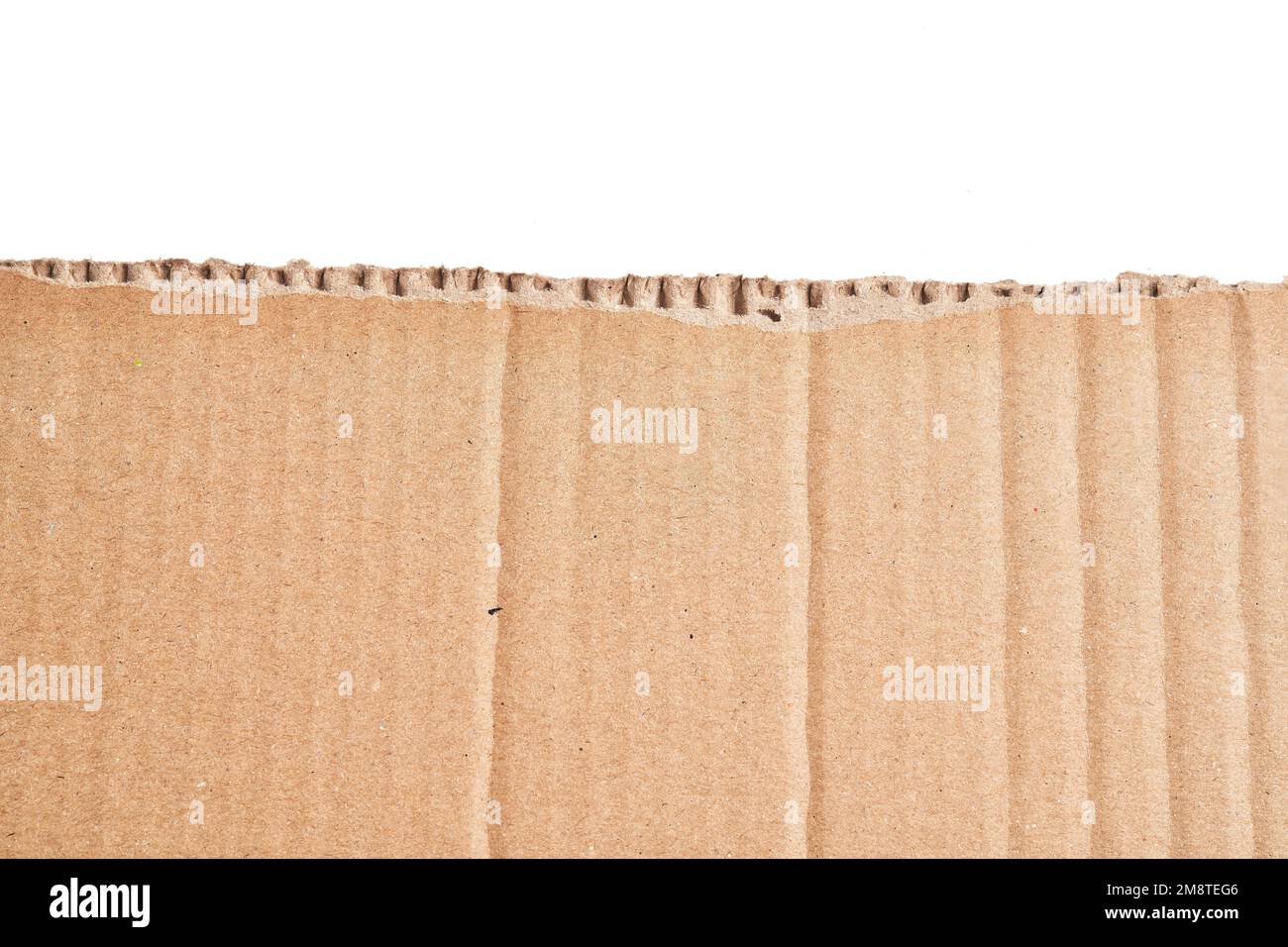 One ripped piece of cardboard material over isolated white background ...