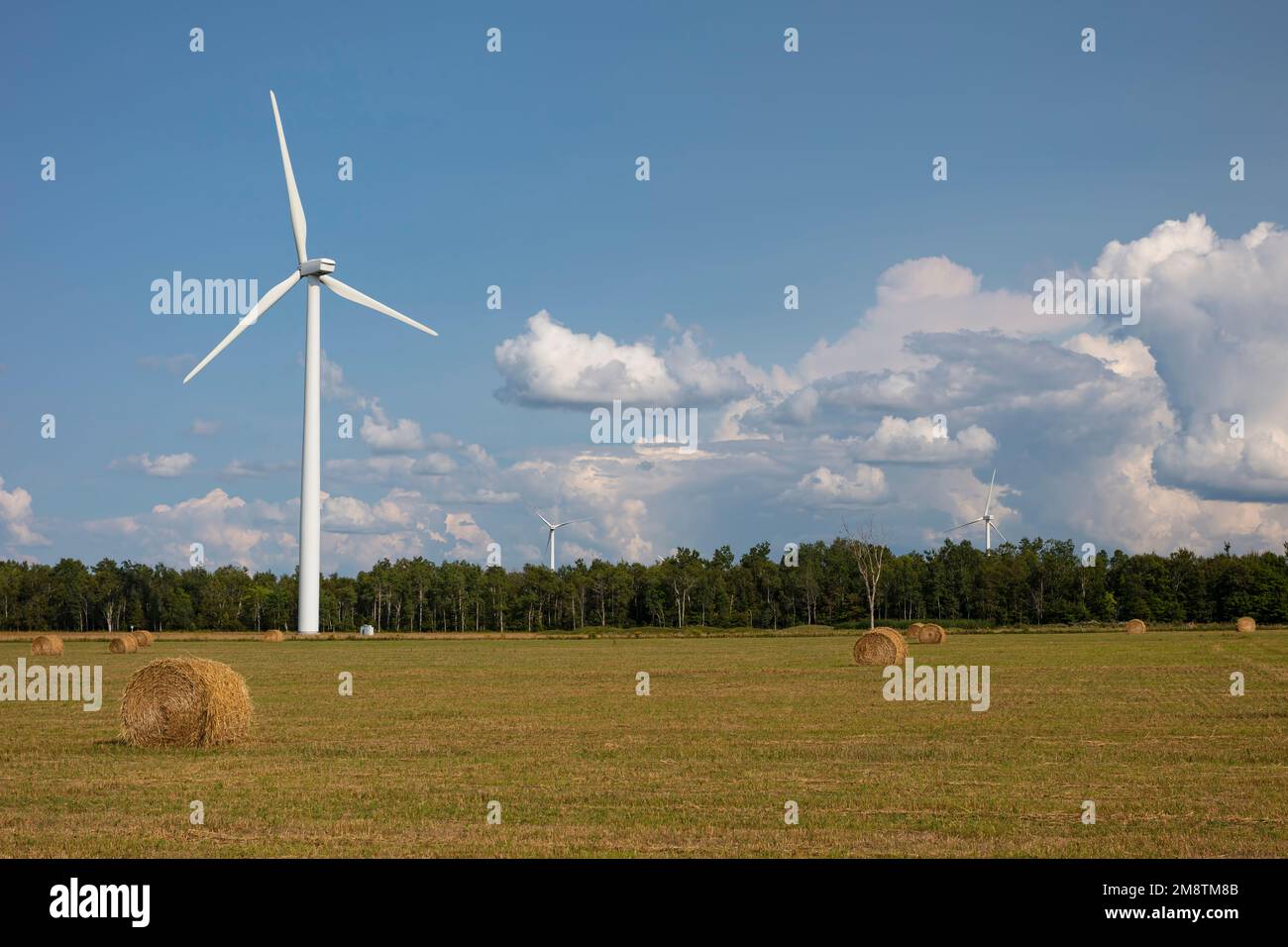 Two industries meet in bales and wind turbines in rural Southern Ontario, Canada, on a warm August day. Stock Photo