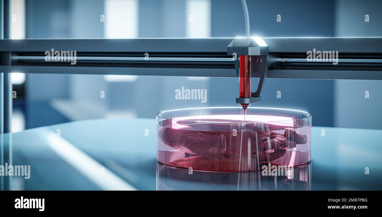 Bioprint 3d - The Concept Of Printing Organs For Transplants On 3d ...