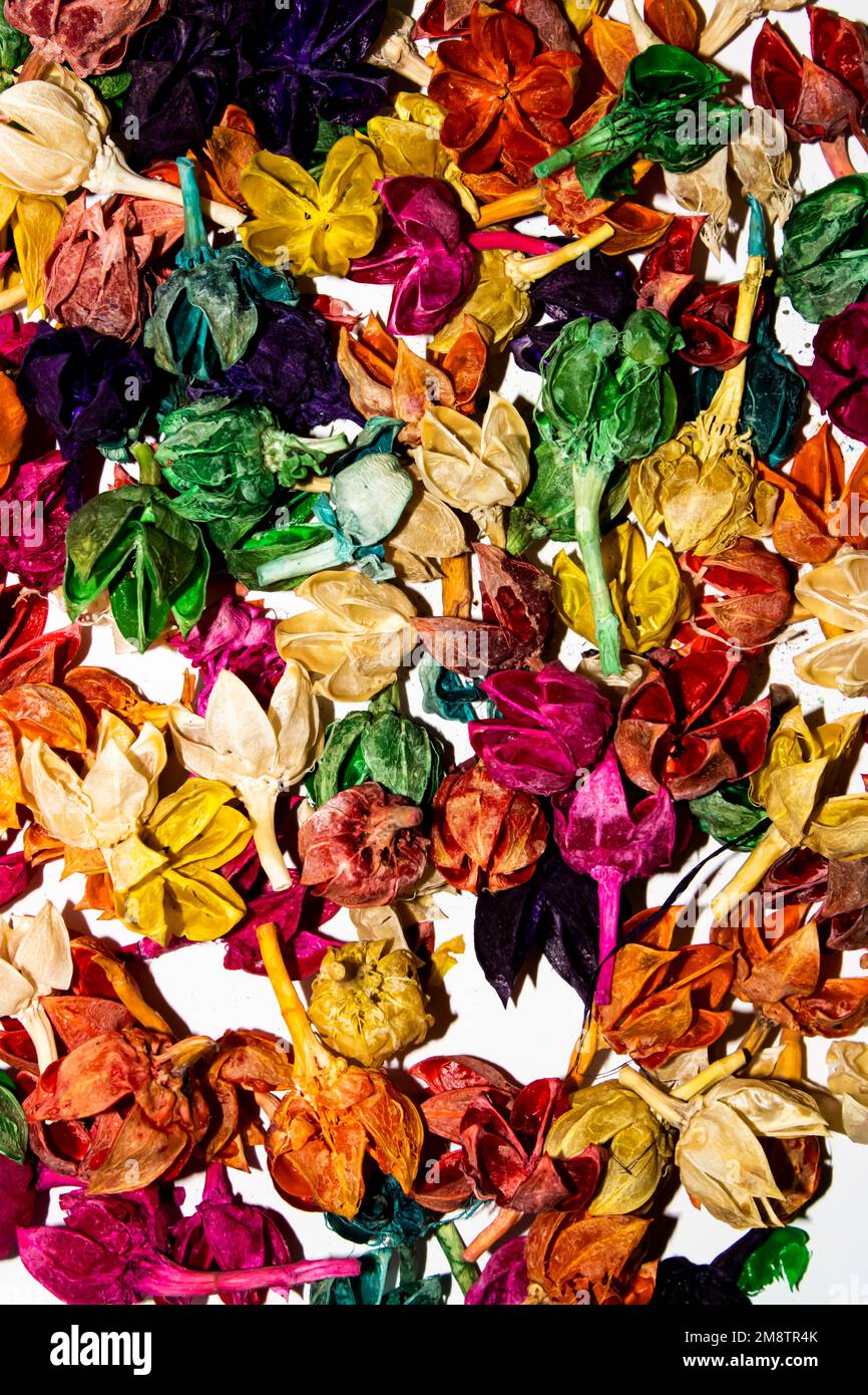 Dried colorful flowers hi-res stock photography and images - Alamy