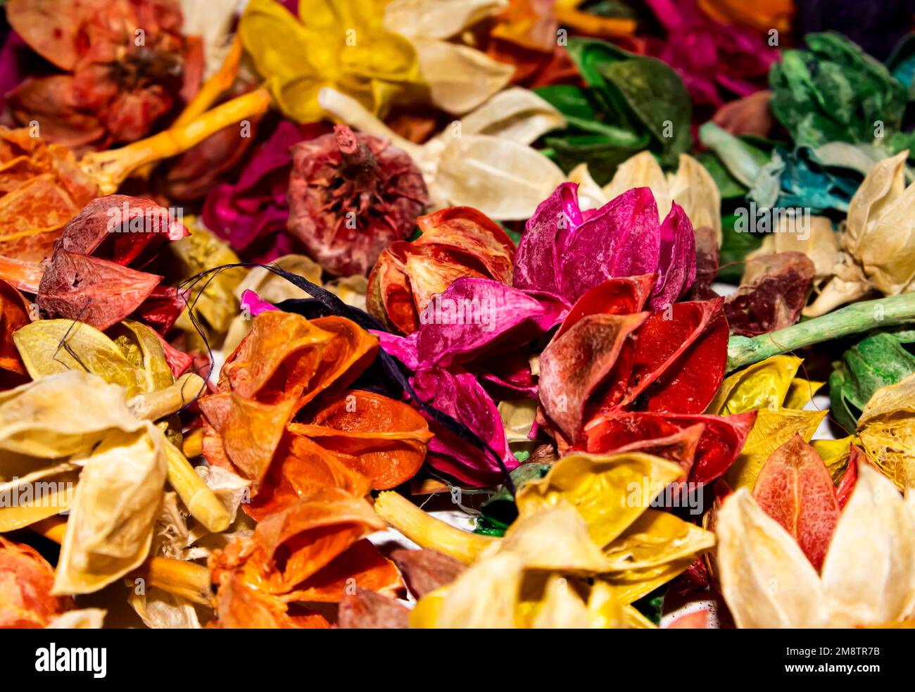 Dried colorful flowers hi-res stock photography and images - Alamy