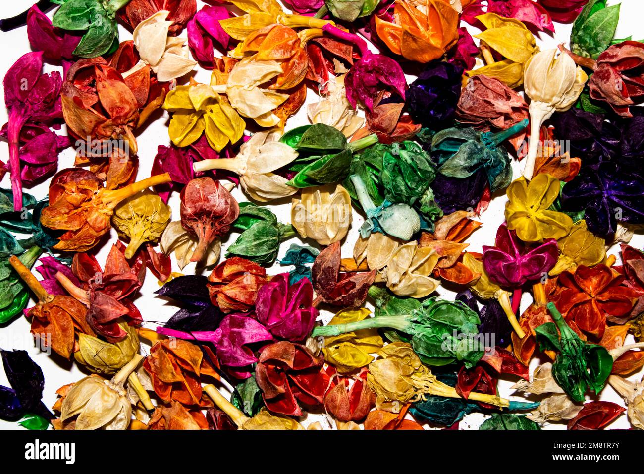 Dried colorful flowers hi-res stock photography and images - Alamy
