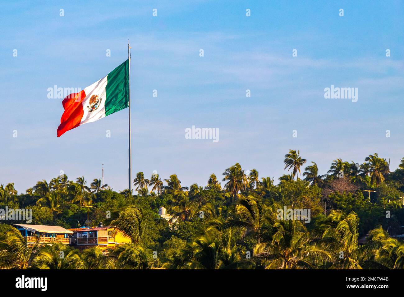 green white red flag with tree