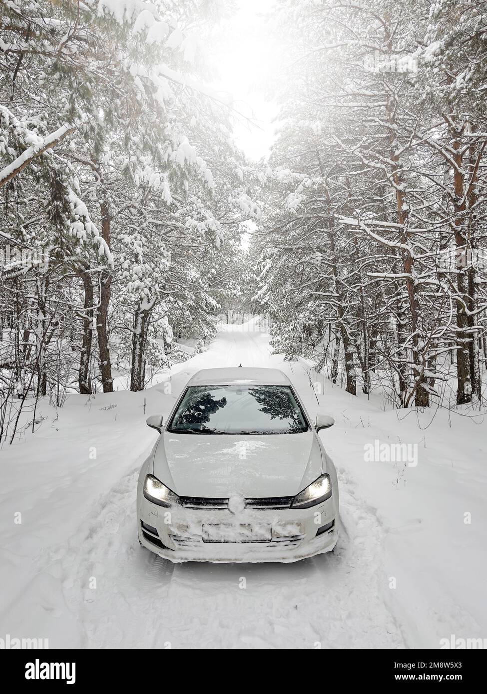 White car on a snowy road in the forest. Stock Photo