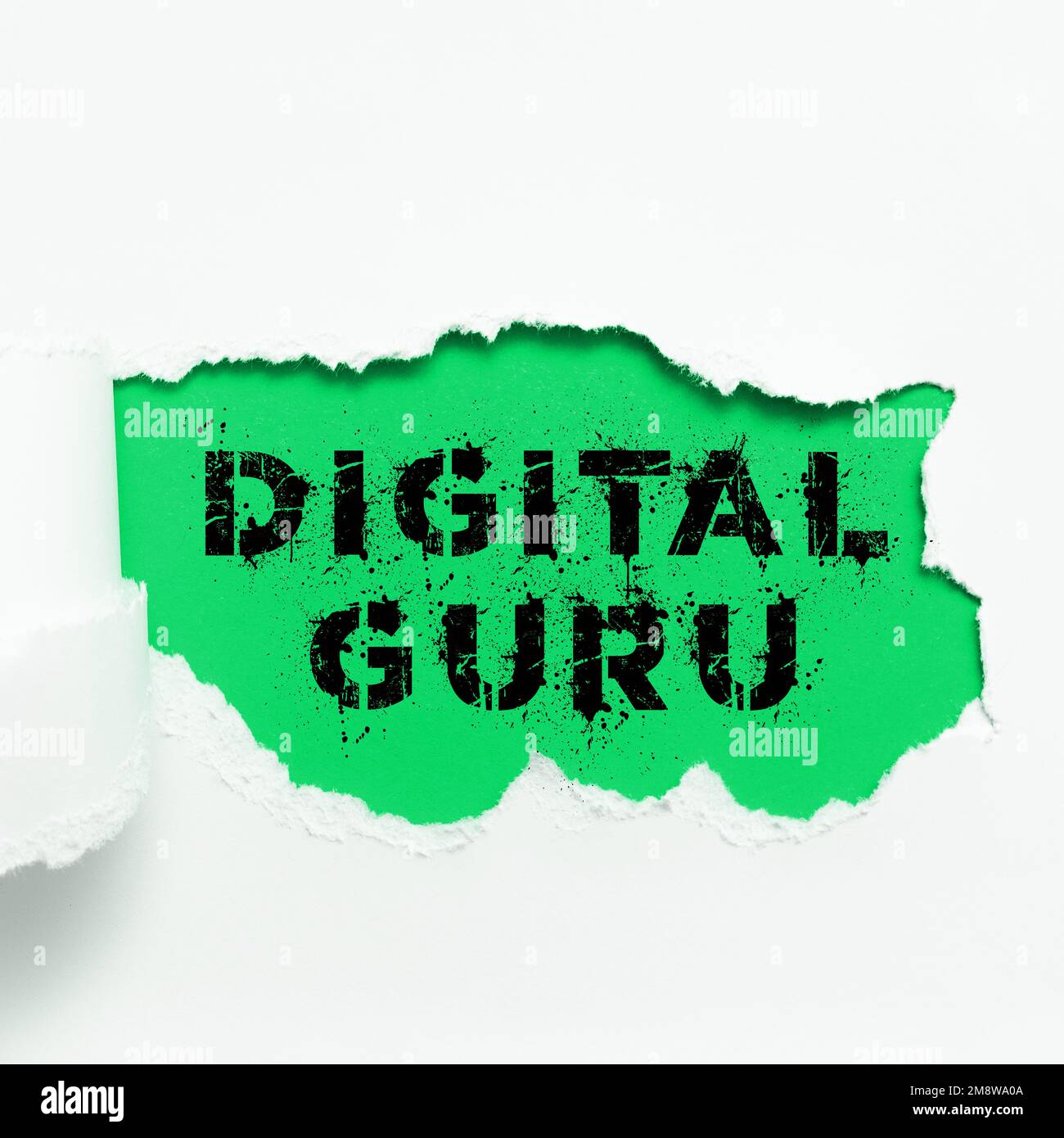 Text caption presenting Digital Guru. Business showcase teacher and