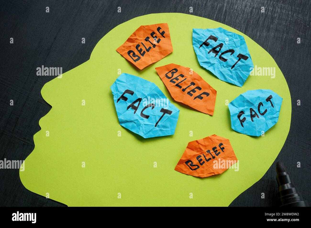 Bias concept. Paper head and pieces of paper with signs belief and fact. Stock Photo