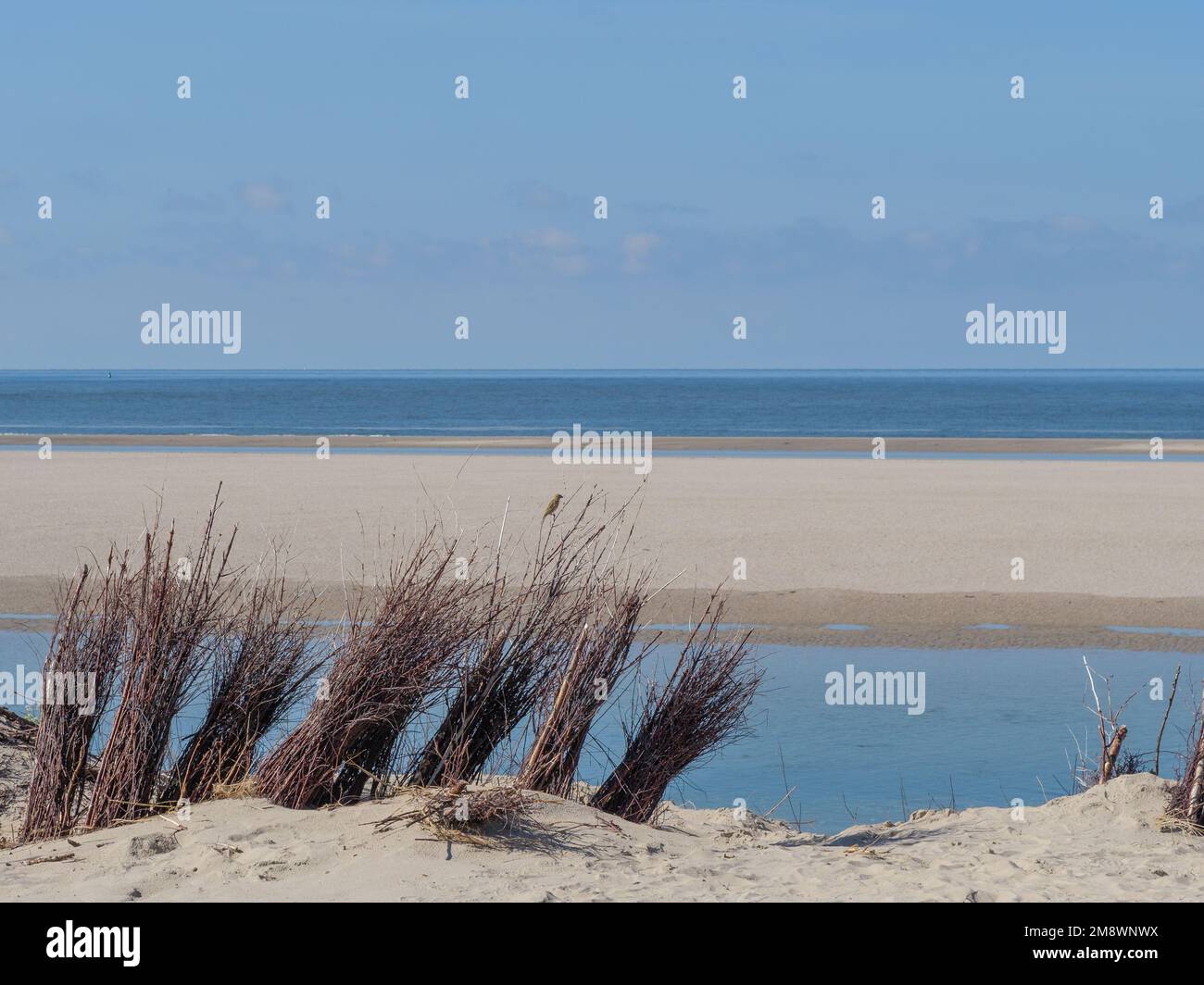 A beautiful seascape with blue sky in an island of Spiekeroog village in Germany Stock Photo