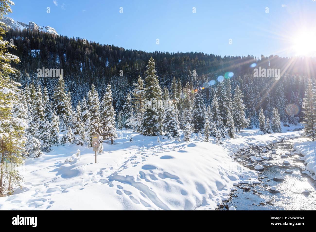 Creek through a snowy mountain landscape in winter. Lens flare. Stock Photo