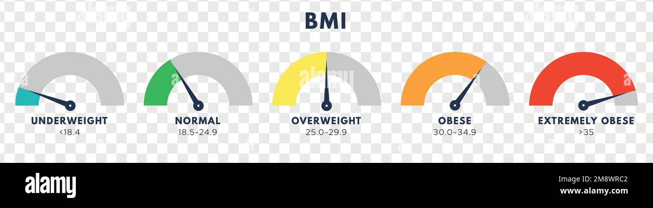 Premium Vector  Body mass index weight loss concept bmi scale the