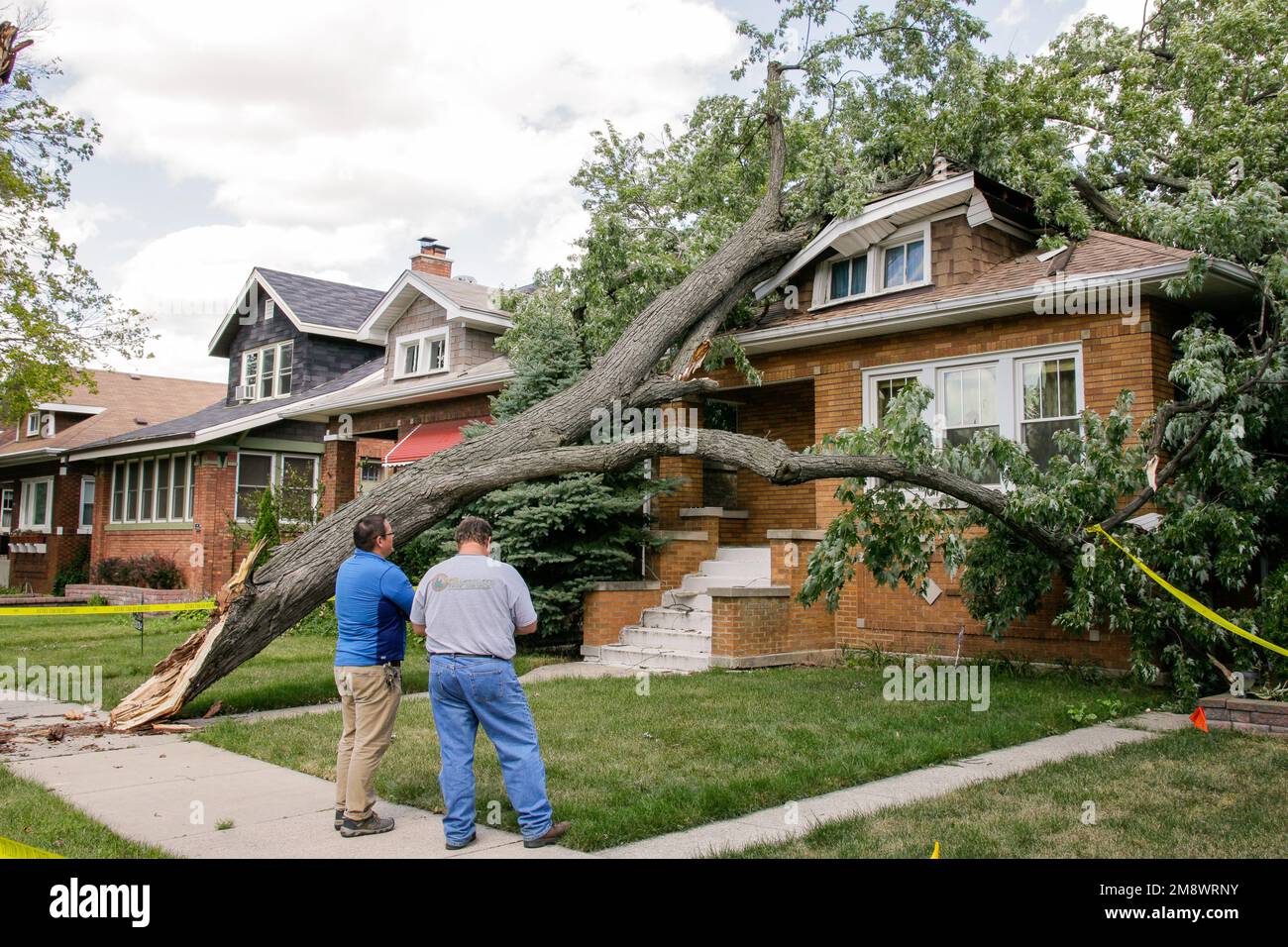 Inspectors survey damage caused by maple tree falling on house during wind storm. Stock Photo