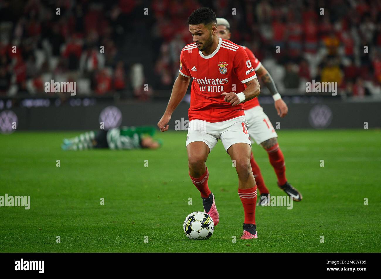 Lisbon, Portugal. 15th Jan, 2023. Goncalo Ramos from Benfica in action during Liga Portugal BWIN football match between SL Benfica and Sporting CP at Estadio da Luz.Final score: SL Benfica 2:2 Sporting CP Credit: SOPA Images Limited/Alamy Live News Stock Photo