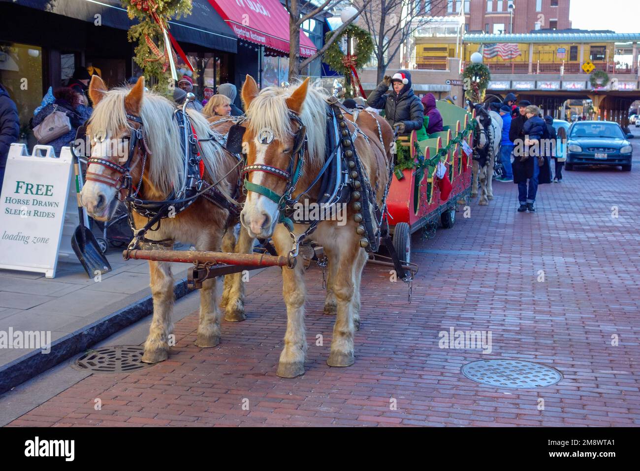 Horse-drawn Christmas carriage, Oak Park, Illinois. Stock Photo