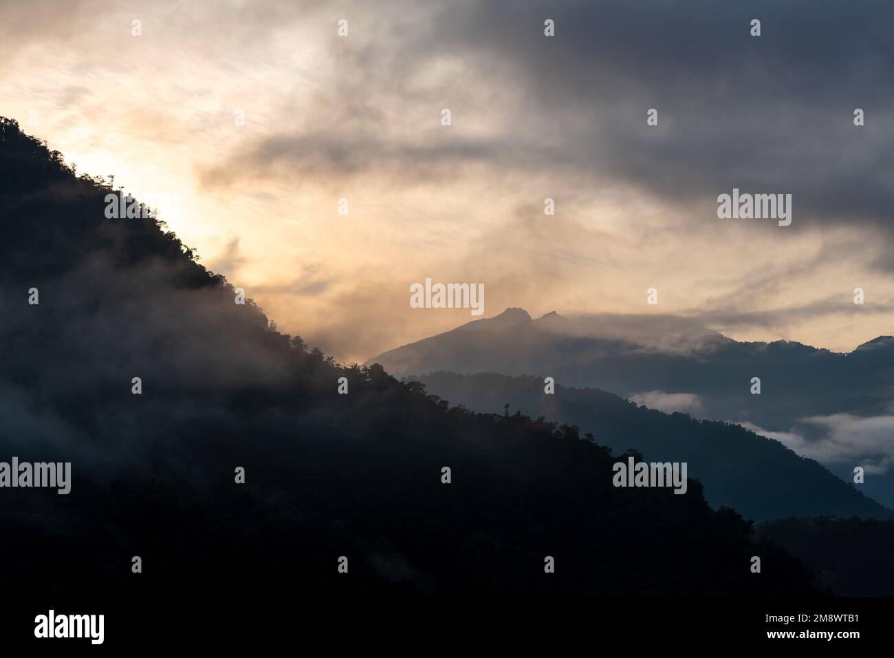 Cloud forest sunrise with Andes mountains in background, Mindo Tandayapa cloud forest, Quito region, Ecuador. Stock Photo