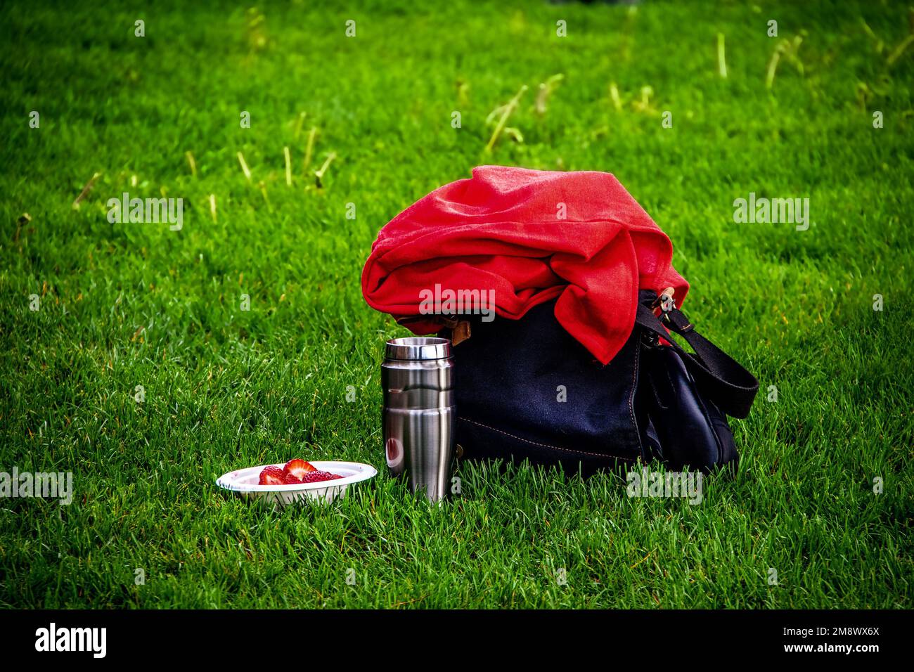 Ready for a journey - Denim bag on grass with coffee themos and bowl of strawberries and red fleece jacket thrown on top Stock Photo