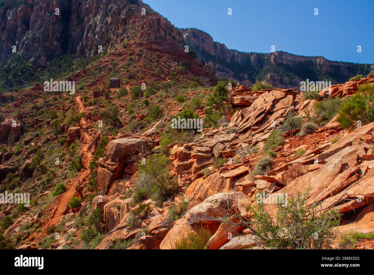 South Kaibab Trail of Grand Canyon National Park, Arizona, USA. (2011) Stock Photo