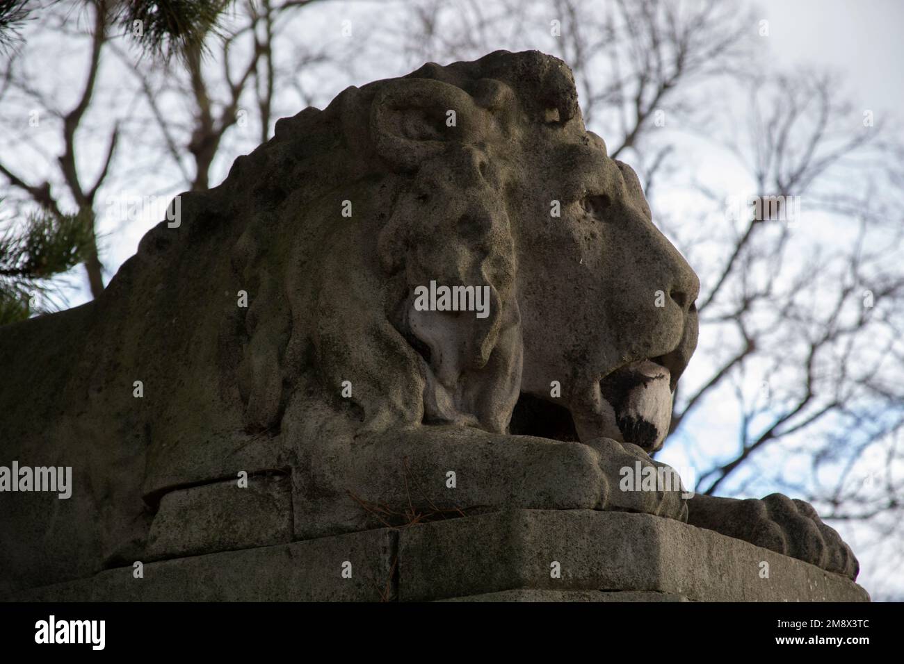 Lion memorial to the boxer 'Gentleman John' Jackson the national English boxing champion from 1795 to 1803, Brompton Cemetery, West London, England UK Stock Photo