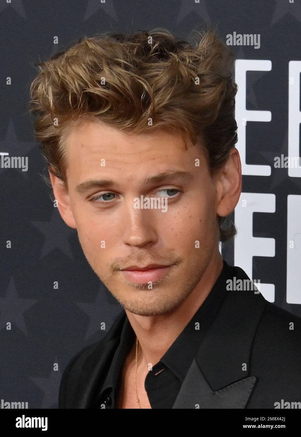 Los Angeles, United States. 15th Jan, 2023. Austin Butler attends the ...
