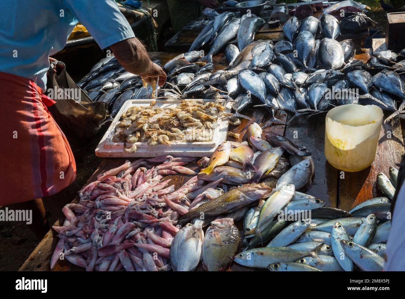 Fresh fish in fish market, Sri Lanka Stock Photo Alamy