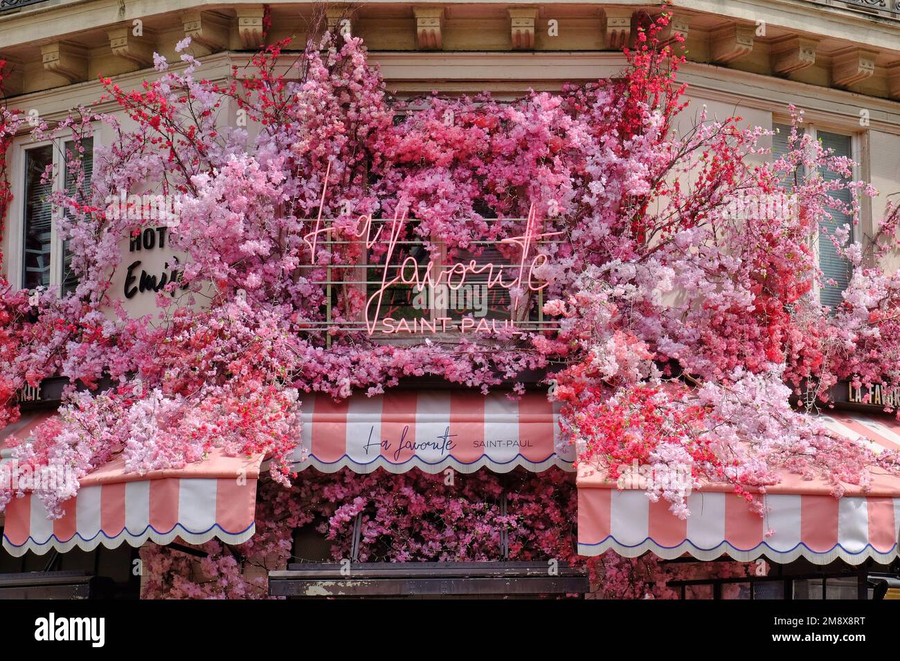 Paris: Colourful pink floral decorations at La Favorite café, Rue de Rivoli, Saint Paul, Marais, Paris, France Stock Photo