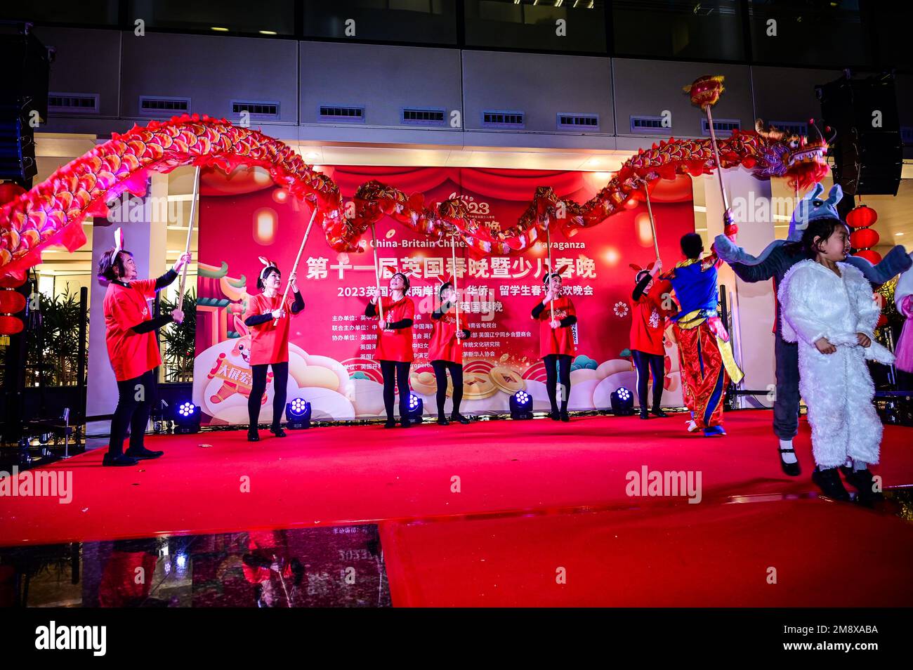 chinese new year extravaganza
