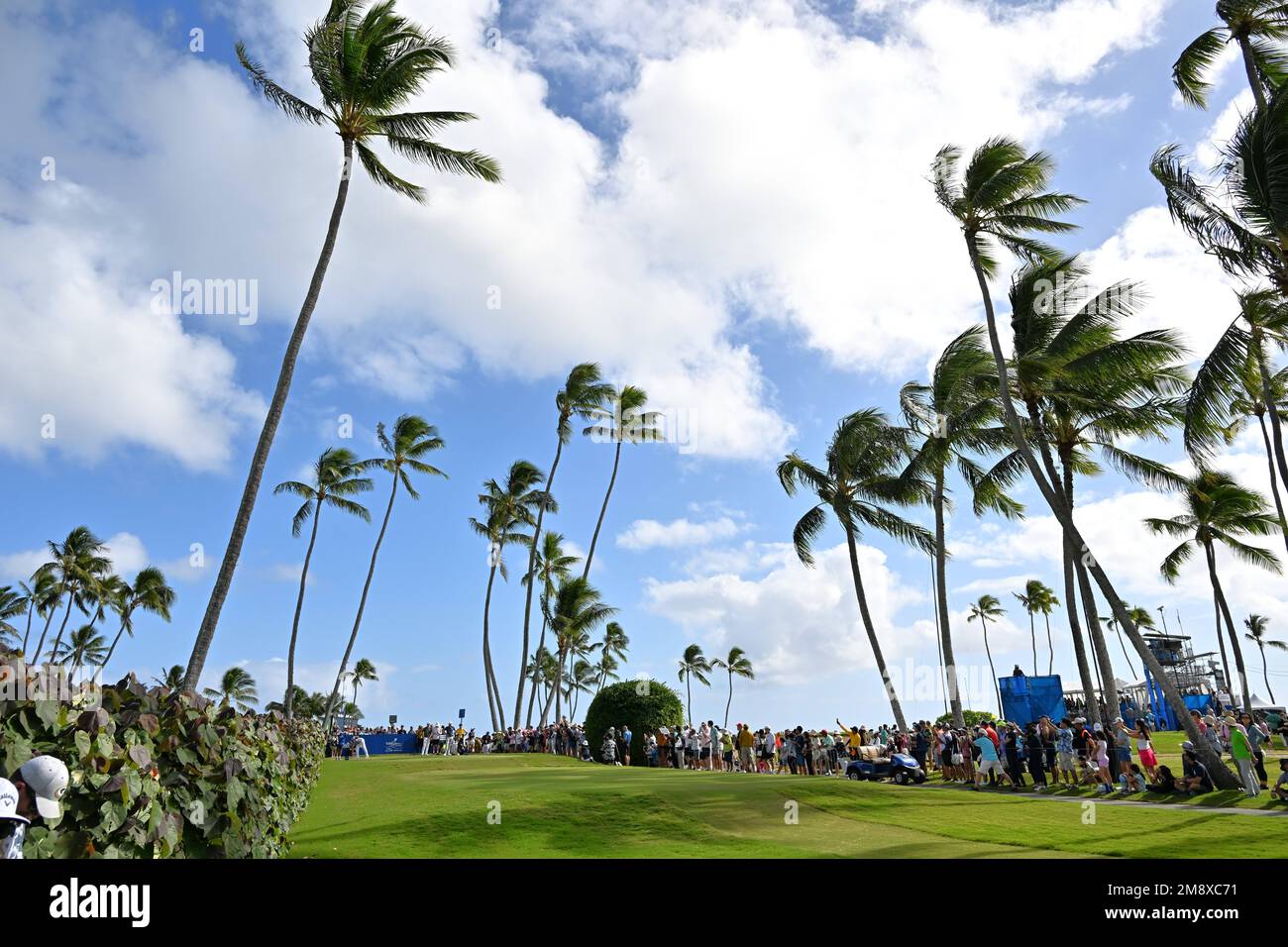 Honolulu, Hawaii, USA. 15th Jan, 2023. Winner SI WOO KIM drives from the  18th tee during the final round of the Sony Open played at Waialae Golf  Course, Honolulu, Hawaii. (Credit Image: ©