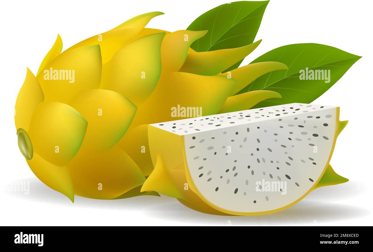 Yellow dragon fruit Stock Vector