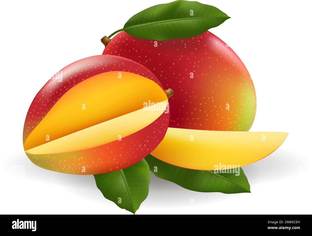 Realistic cutting mangoes Stock Vector Image & Art Alamy