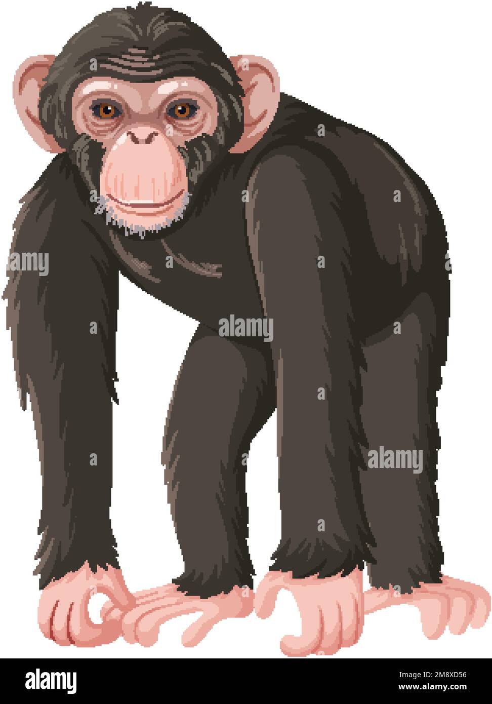 Ape cartoon character isolated illustration Stock Vector Image & Art ...