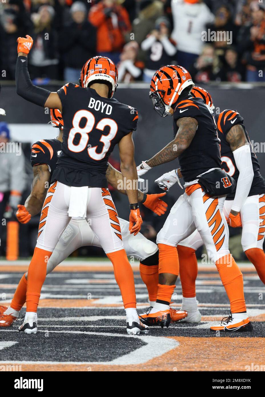 Cincinnati, United States. 15th Jan, 2023. Cincinnati Bengals wide receiver  JaMarr Chase (1) celebrates his touchdown against the Baltimore Ravens with  teammates during the first half of play in the AFC Wild