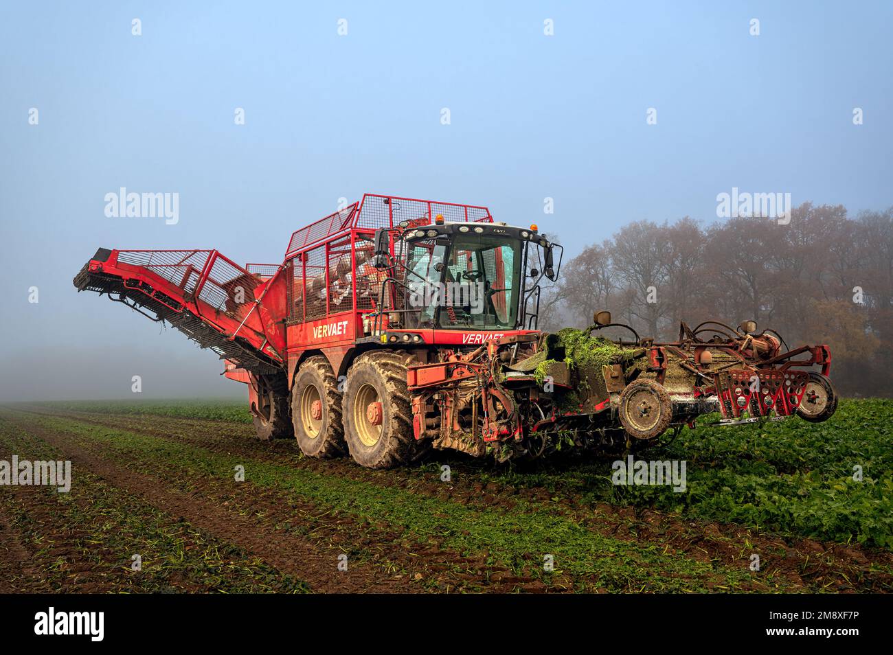 aA large Vervaet beet eater machine stood in Norfolk farmland at Little Snoring, Norfolk, UK Stock Photo