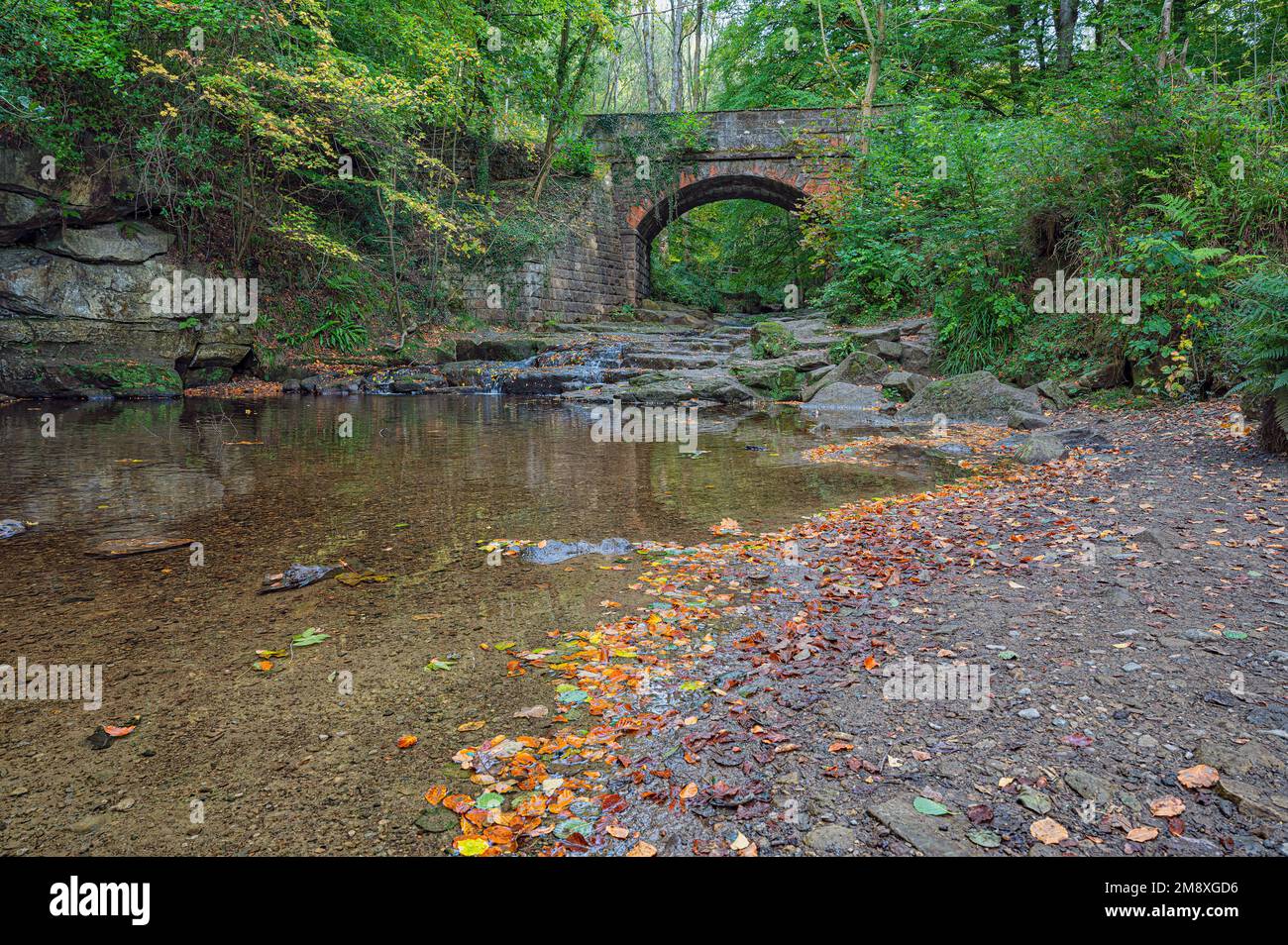 The Bridge by Falling Foss in North Yorkshire, UK Stock Photo