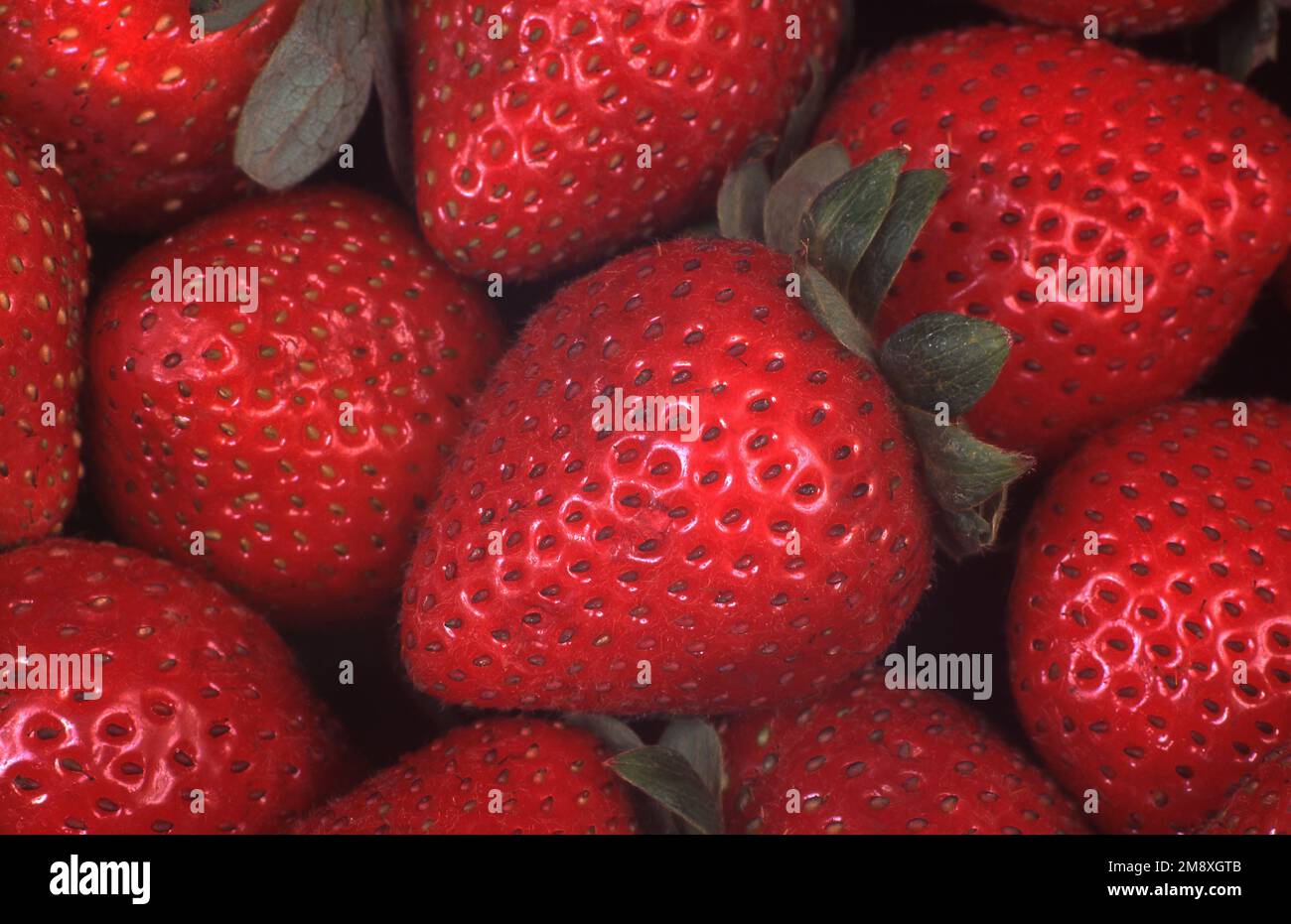 Horizontal strawberries hi-res stock photography and images - Alamy