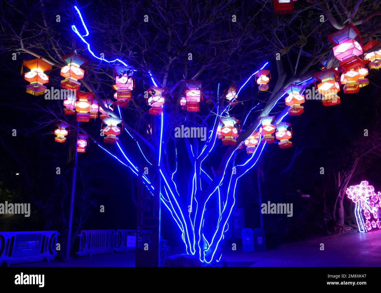Los Angeles, California, USA 12th January 2023 Chinese Lanterns at Zoo