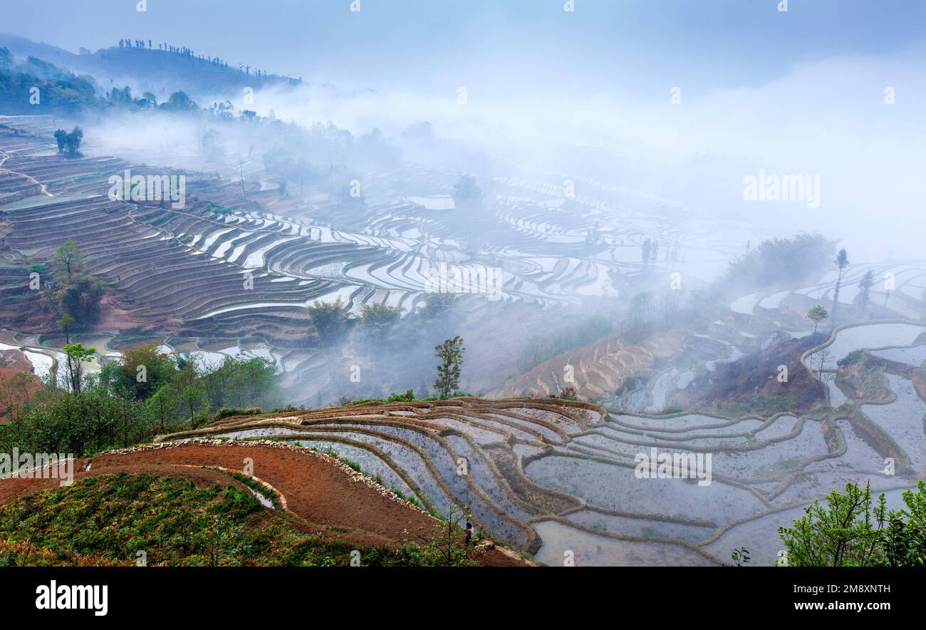 Yuan Yang terraces Stock Photo