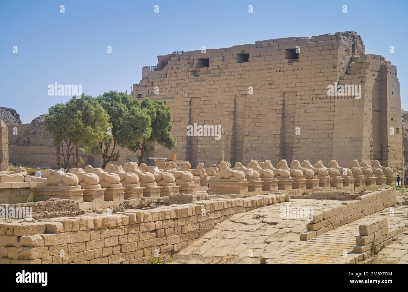Phinx alley, ram-headed sphinxes in front of the 1st pylon, Karnak temple, Karnak, Egypt Stock Photo
